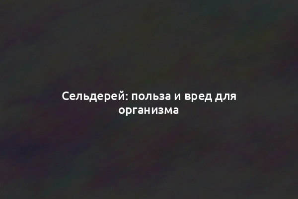 Сельдерей: польза и вред для организма