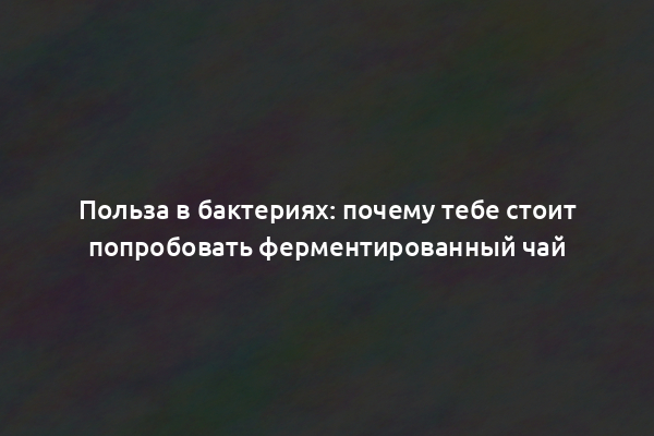 Польза в бактериях: почему тебе стоит попробовать ферментированный чай